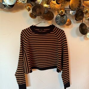 Striped Black and Brown Women's Top